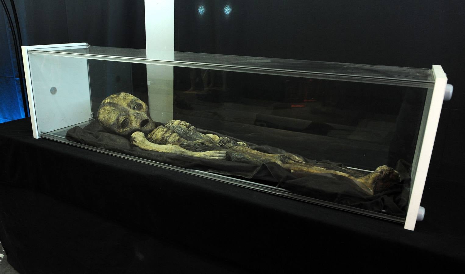 La exposición de &#039;Cuarto Milenio&#039; aterriza en la Feria de Valladolid