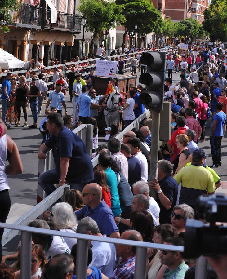 Toro de la Feria de Medina del Campo