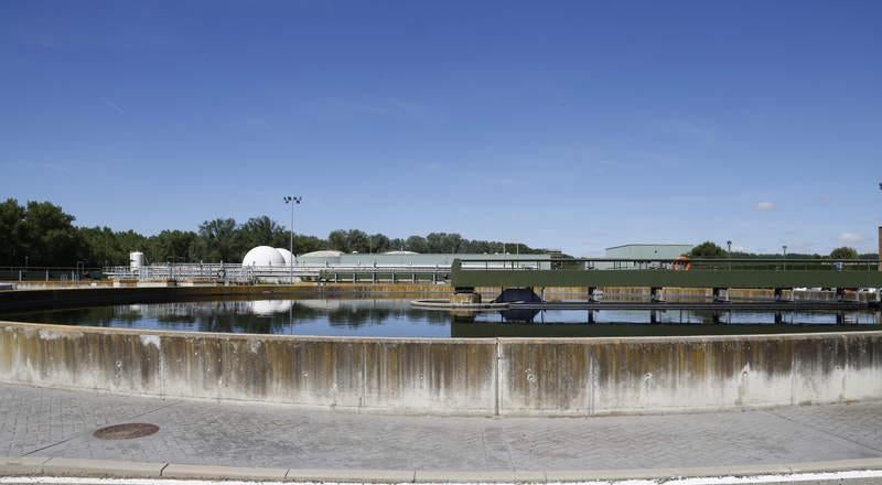 Día del Medio Ambiente en Palencia