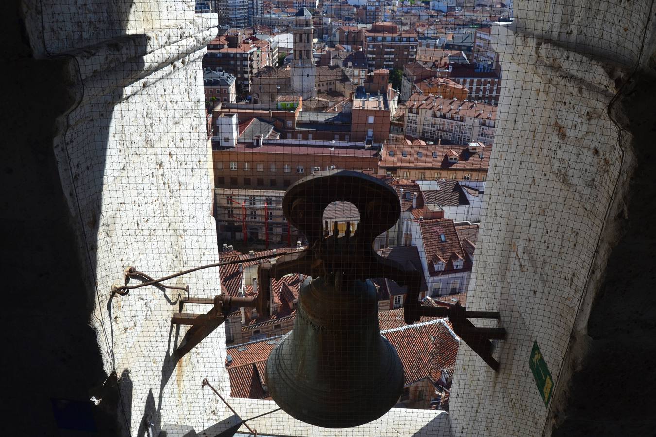 Visita a la torre de la Catedral de día