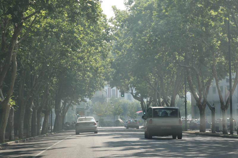 Proviene de un incendio en Orense