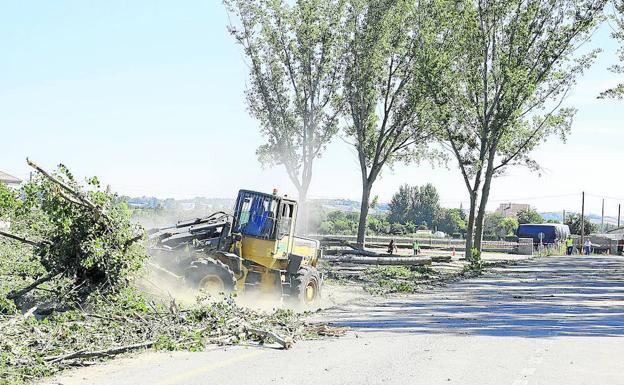 Una excavadora interviene en los trabajos para talar las choperas que había en la zona de La Aldehuela