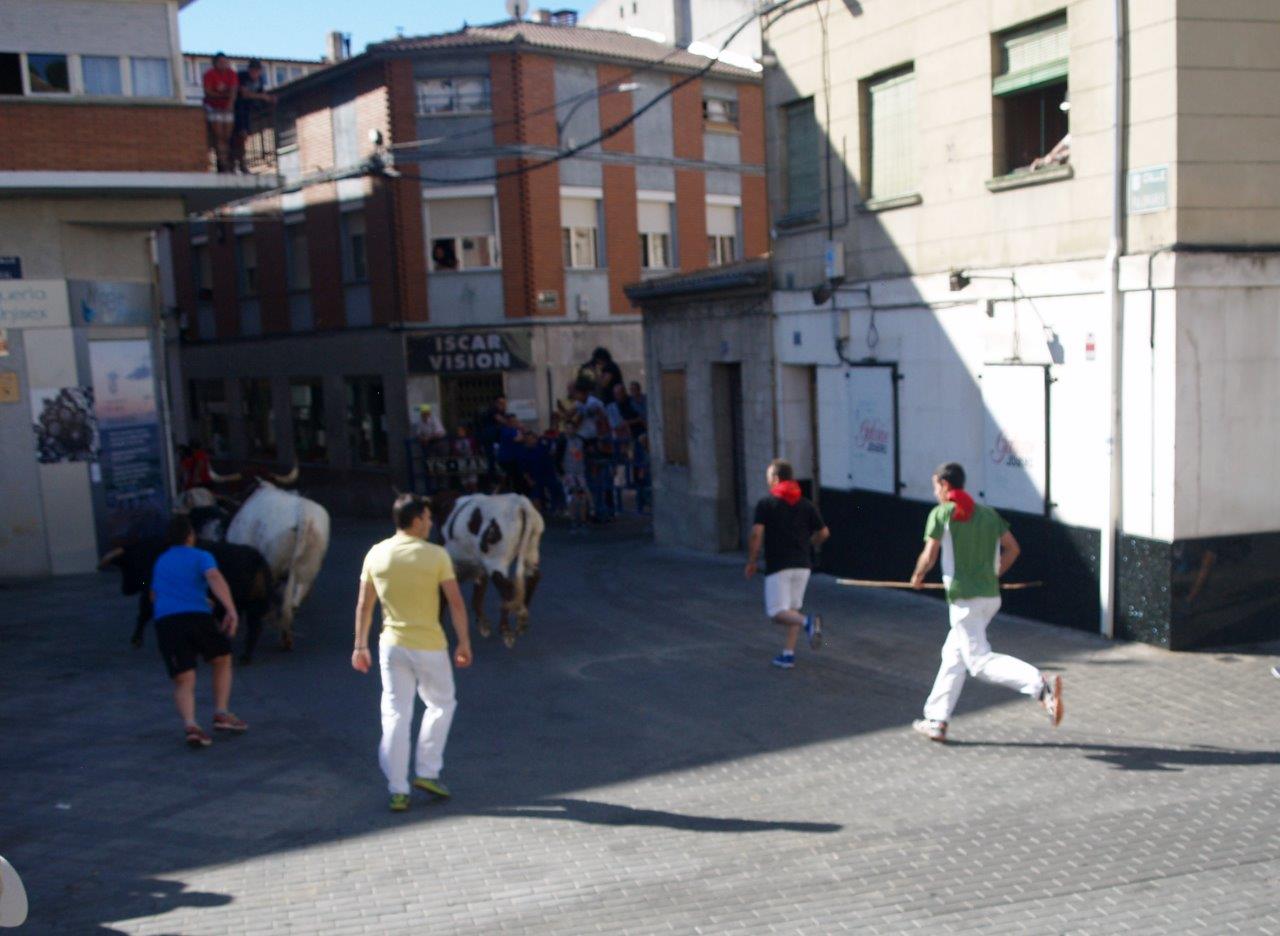 Encierro matinal del domingo en Íscar