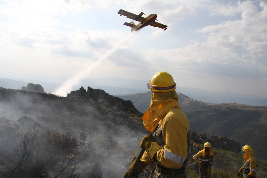 Agentes medioambientales trabajan en la extinción del incendio en una foto de archivo