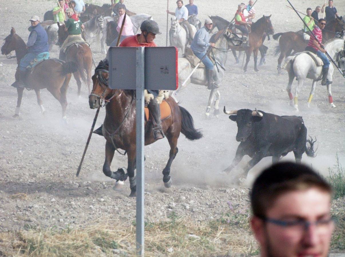 Segundo encierro campero de Íscar