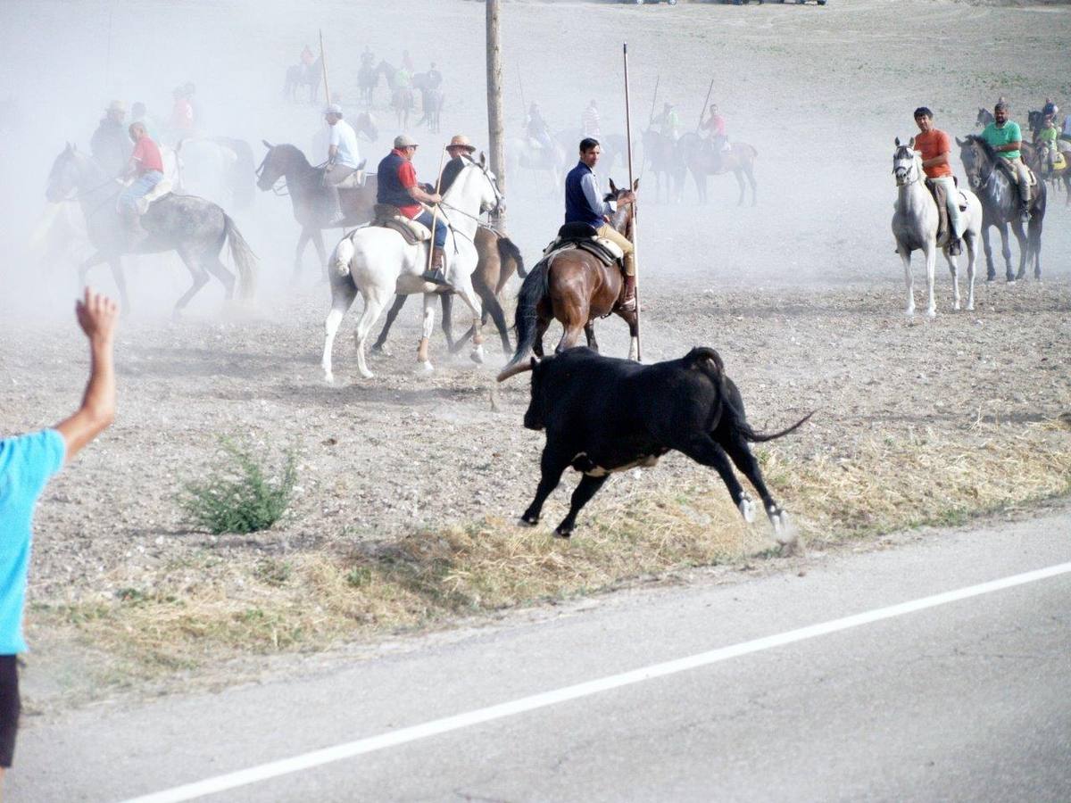 Segundo encierro campero de Íscar