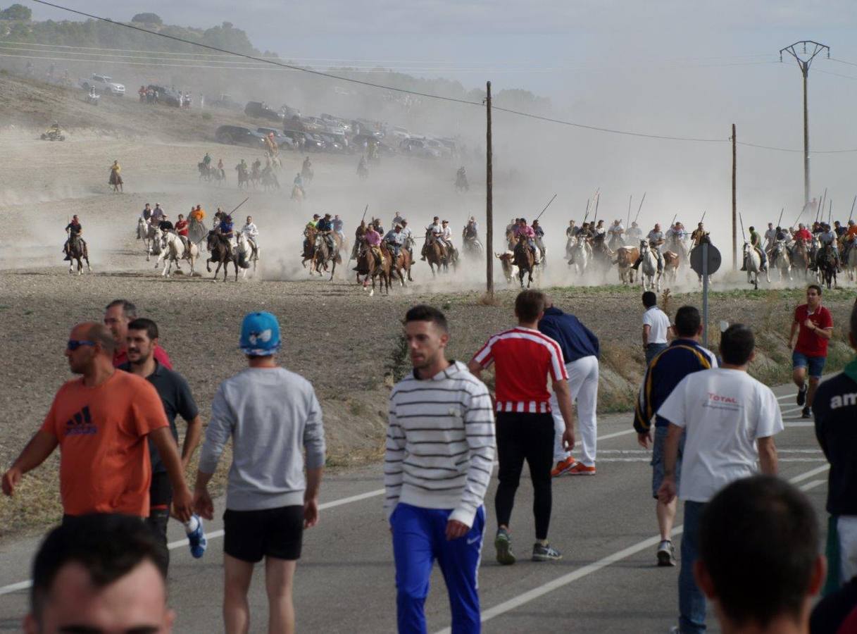 Segundo encierro campero de Íscar