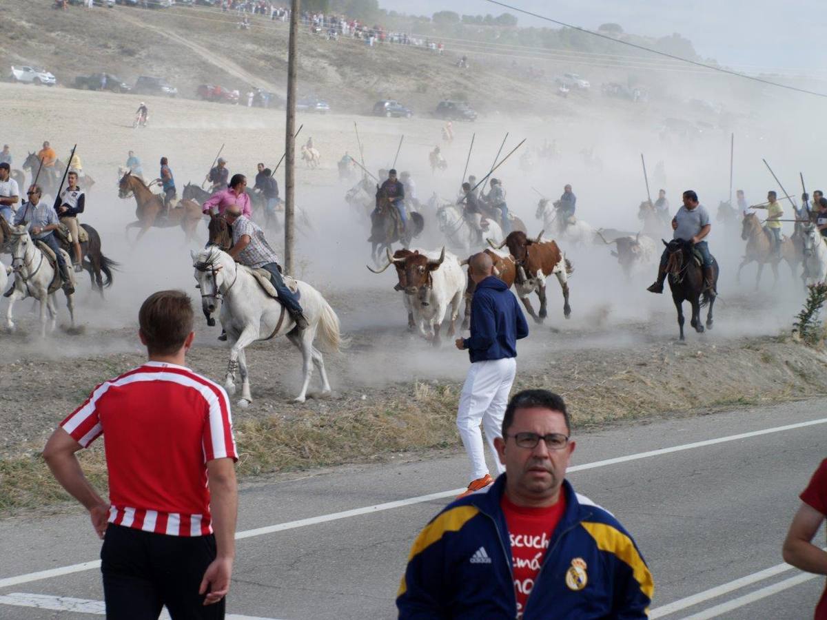 Segundo encierro campero de Íscar