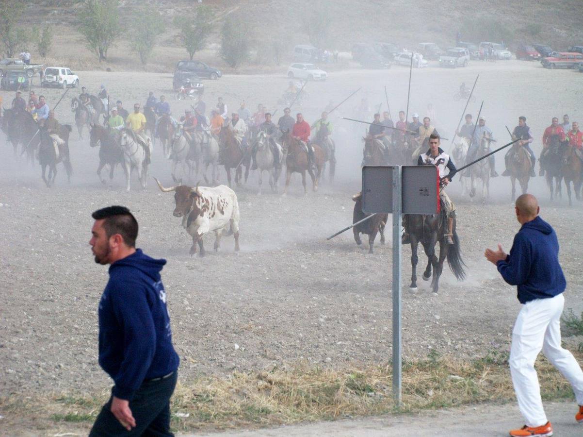 Segundo encierro campero de Íscar