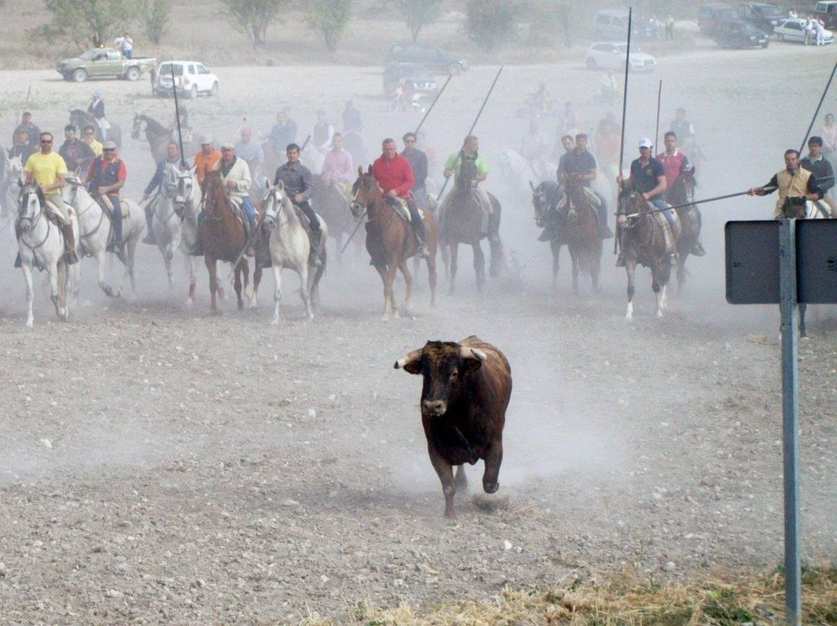 Segundo encierro campero de Íscar