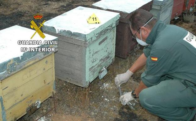 Fotos de archivo de la Guardia Civil de Zamora sobre investigación de incendios forestales