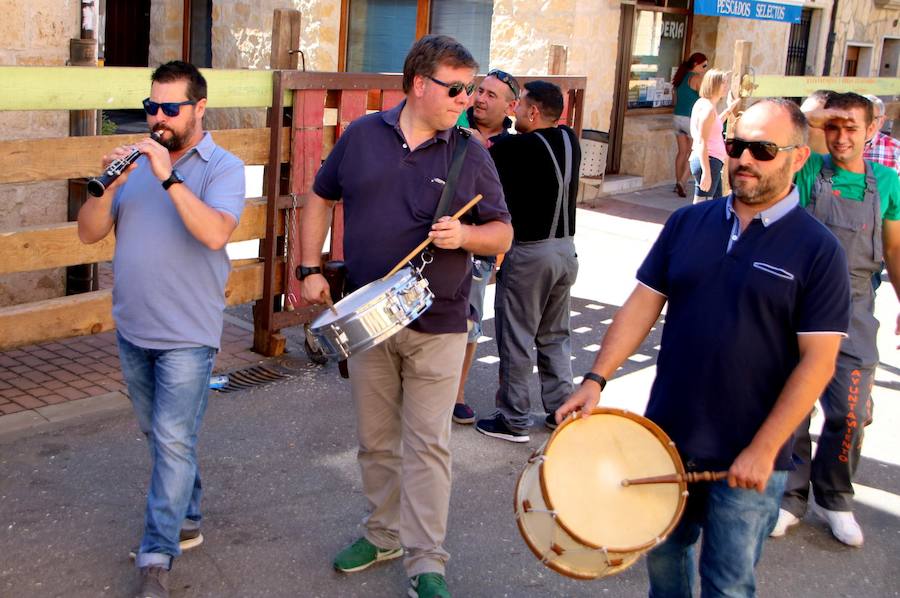 Torquemada vivió su jornada grande, con unos encierros que llevaron a las calles a jóvenes y mayores para disfrutar de los novillos. 
