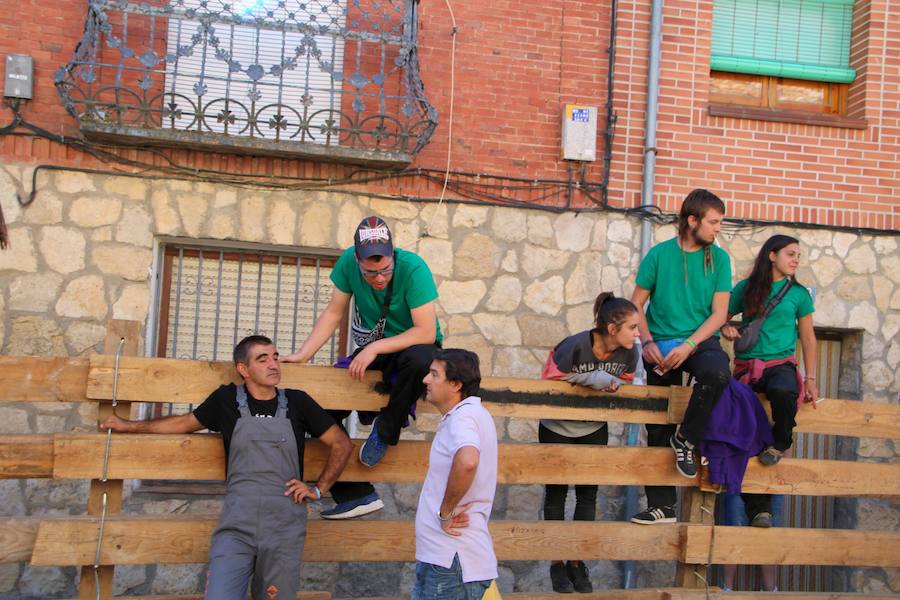 Torquemada vivió su jornada grande, con unos encierros que llevaron a las calles a jóvenes y mayores para disfrutar de los novillos. 