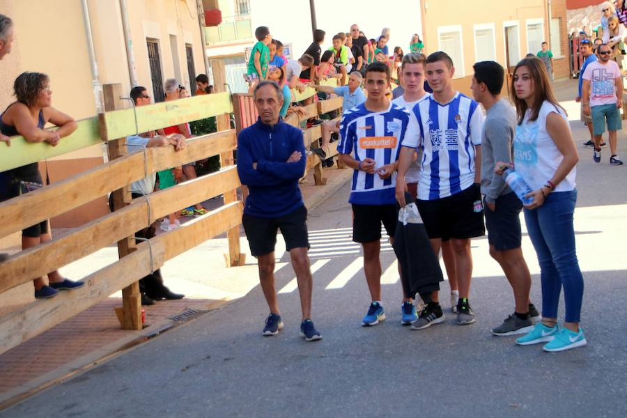 Torquemada vivió su jornada grande, con unos encierros que llevaron a las calles a jóvenes y mayores para disfrutar de los novillos. 