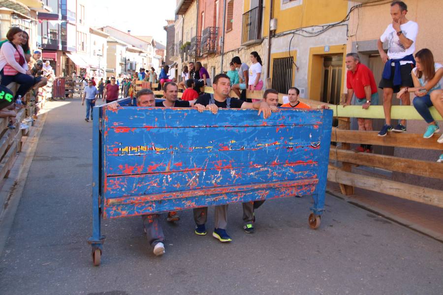 Torquemada vivió su jornada grande, con unos encierros que llevaron a las calles a jóvenes y mayores para disfrutar de los novillos. 