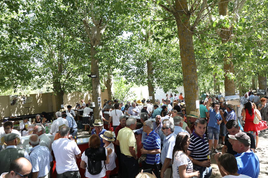 Castrillo de Villavega homenajeó al Cid durante la celebración de la Fiesta de la Trilla que se celebró el sábado 12.