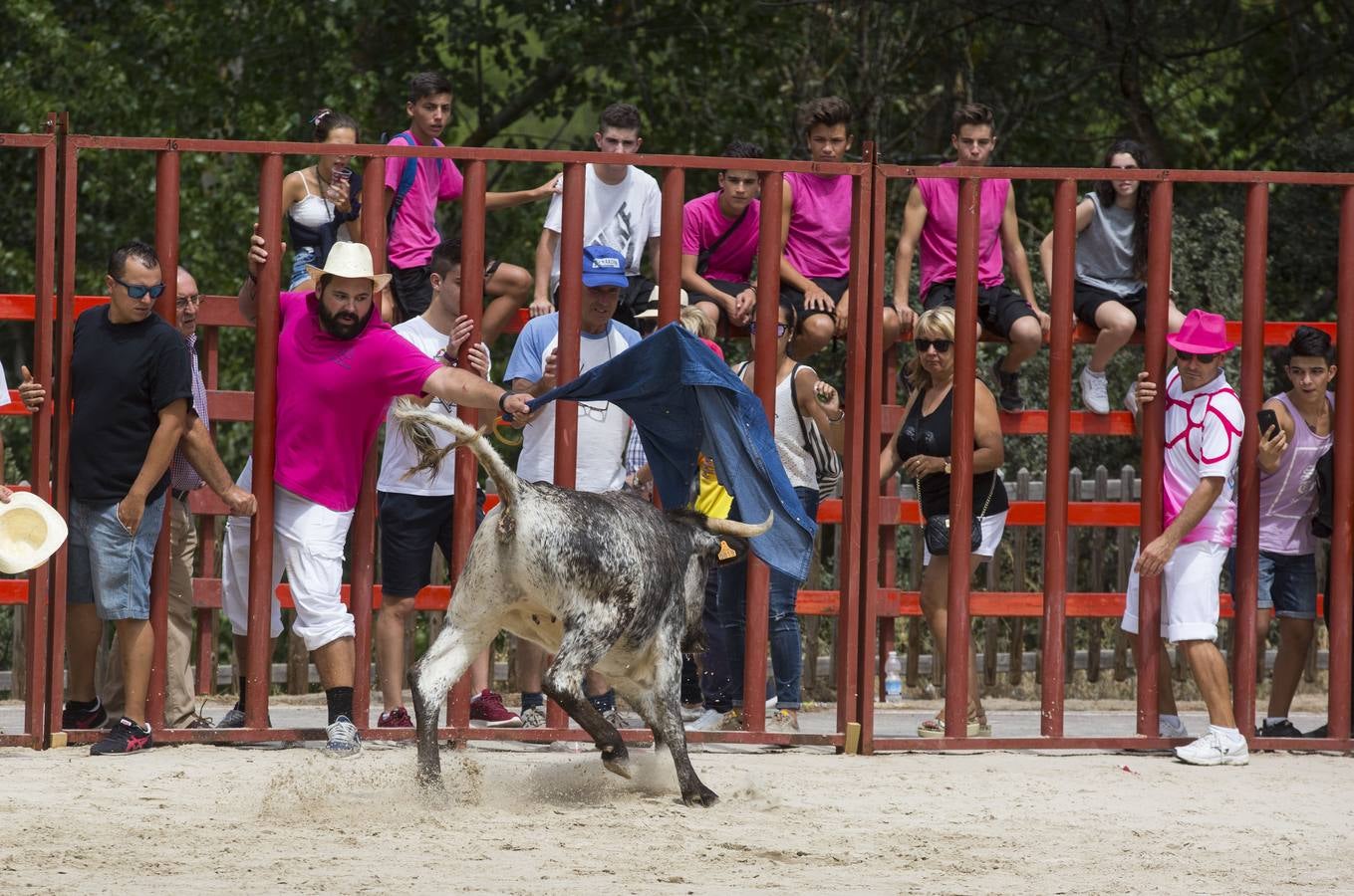 Encierro en las fiestas de Viana de Cega