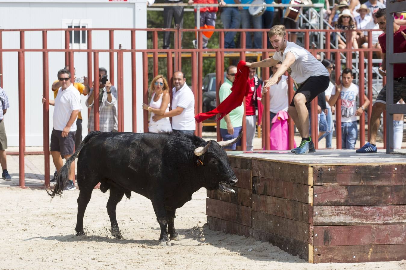 Encierro en las fiestas de Viana de Cega