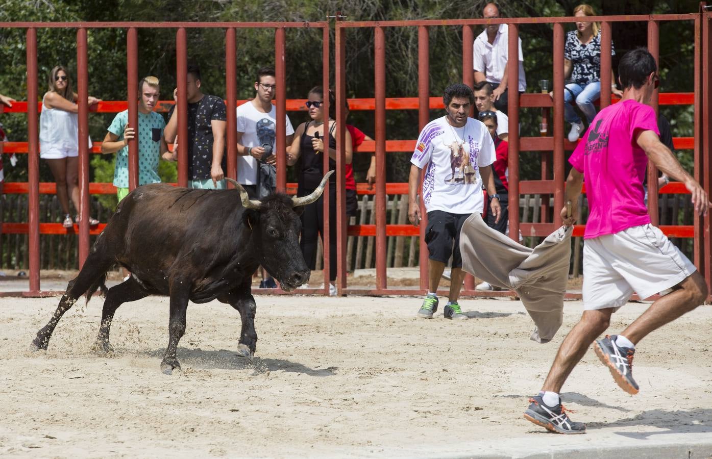 Encierro en las fiestas de Viana de Cega
