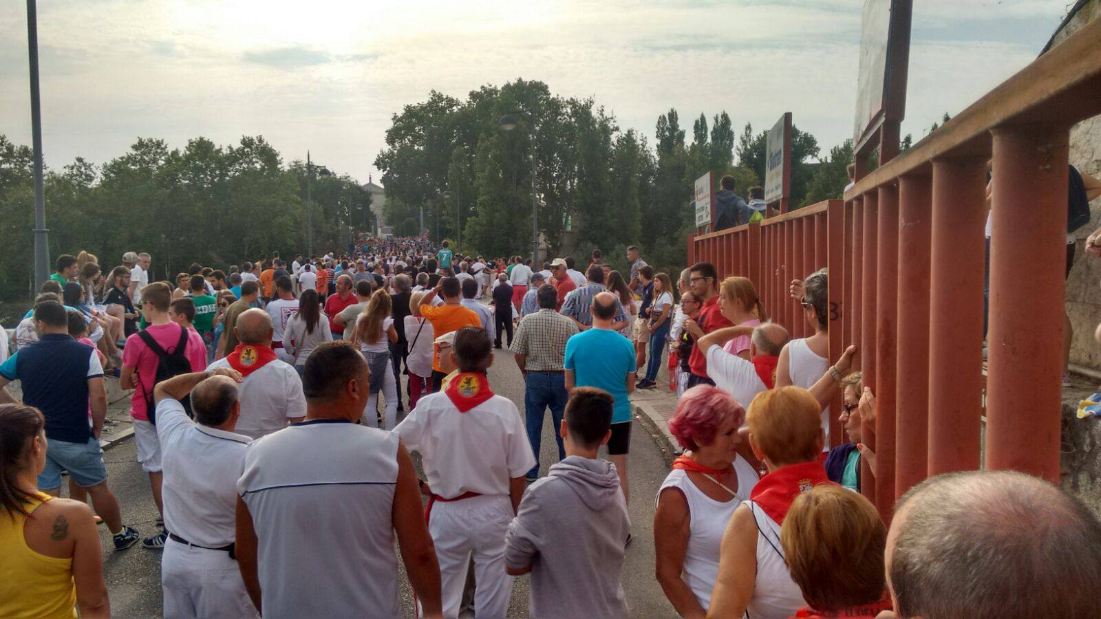 Encierro en las fiestas de Viana de Cega