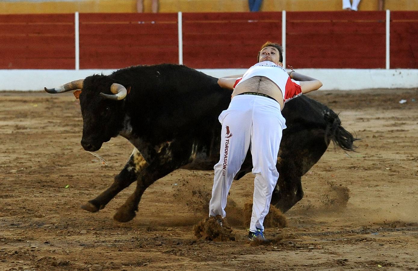 El campeón de España, Eusebio Sacristán, cautiva a público y jurado con saltos que rozan la perfección