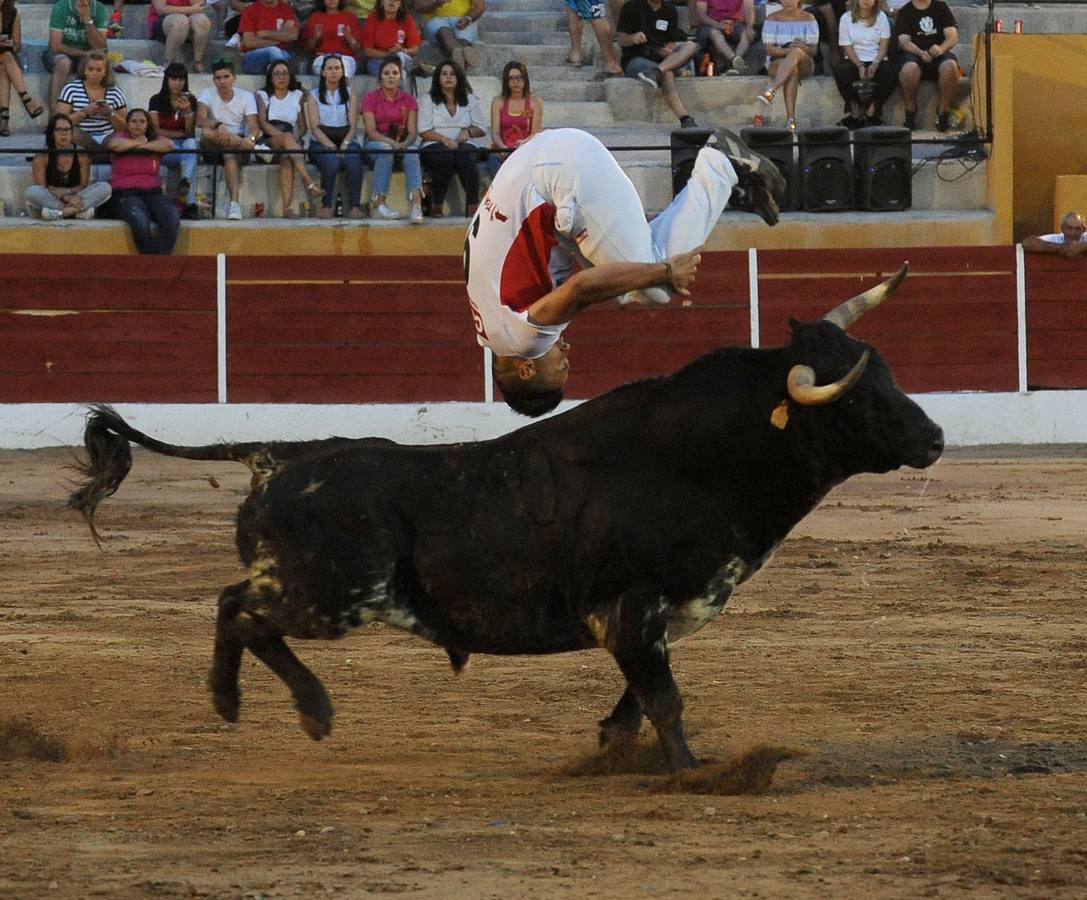 El campeón de España, Eusebio Sacristán, cautiva a público y jurado con saltos que rozan la perfección