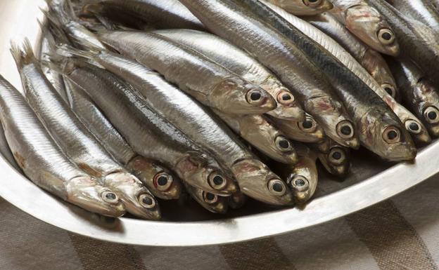 Uno de cada tres pescados que se consumen en España están infectados con anisakis