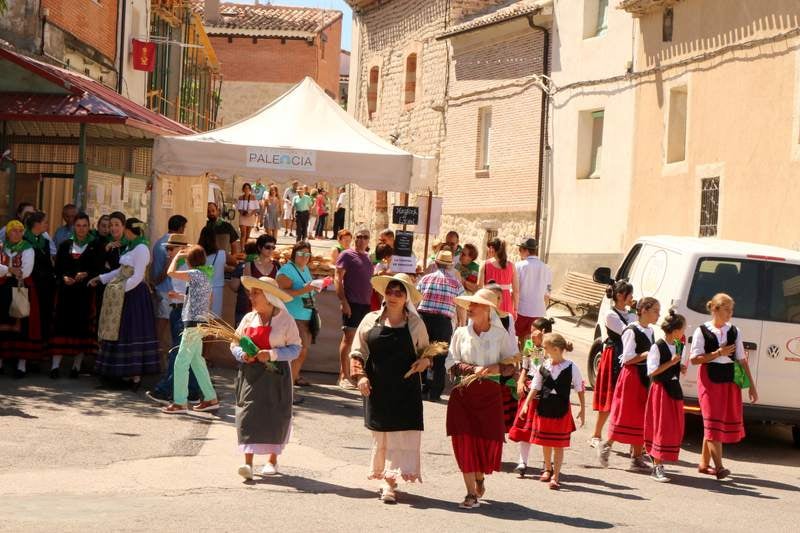 Siete profesionales del pan han acudido a la cita celebrada en la localidad palentina de Cobos de Cerrato