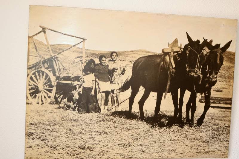 Siete profesionales del pan han acudido a la cita celebrada en la localidad palentina de Cobos de Cerrato