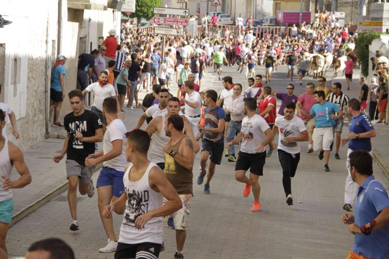 Encierro vespertino de Peñafiel