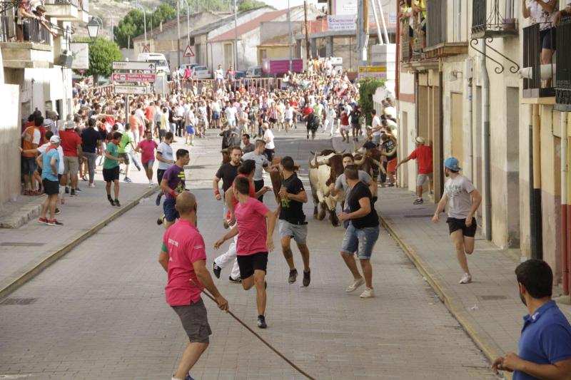 Encierro vespertino de Peñafiel