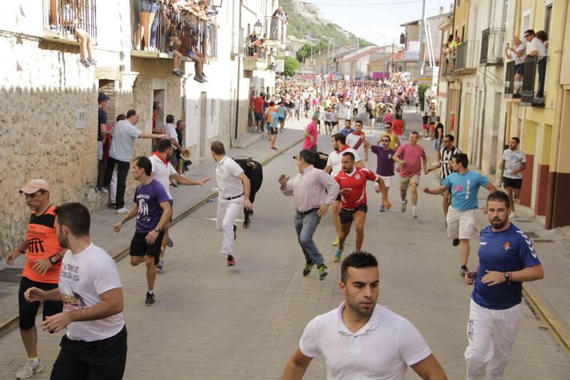 Encierro vespertino de Peñafiel