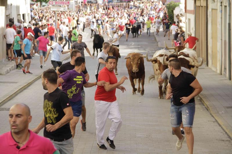 Encierro vespertino de Peñafiel