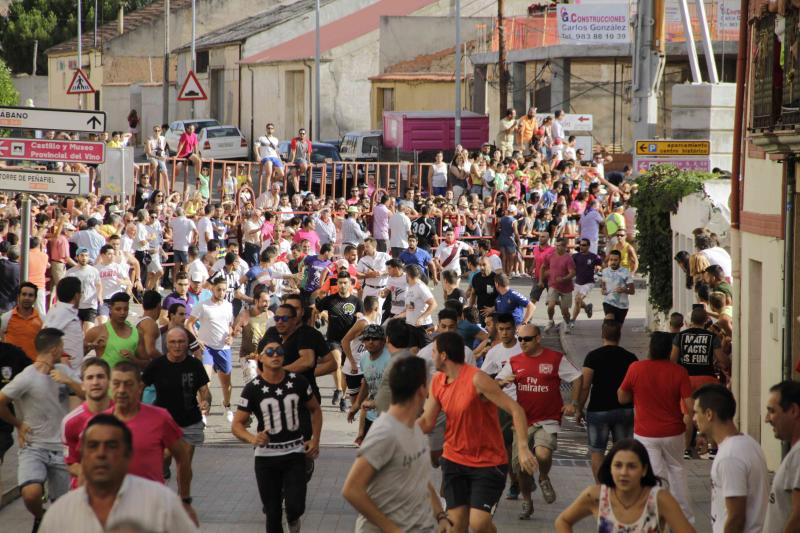 Encierro vespertino de Peñafiel