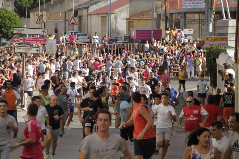 Encierro vespertino de Peñafiel