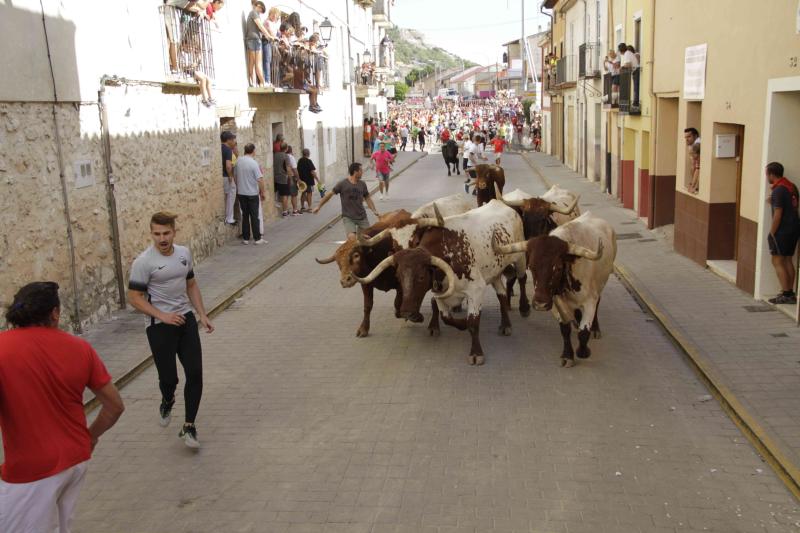 Encierro vespertino de Peñafiel