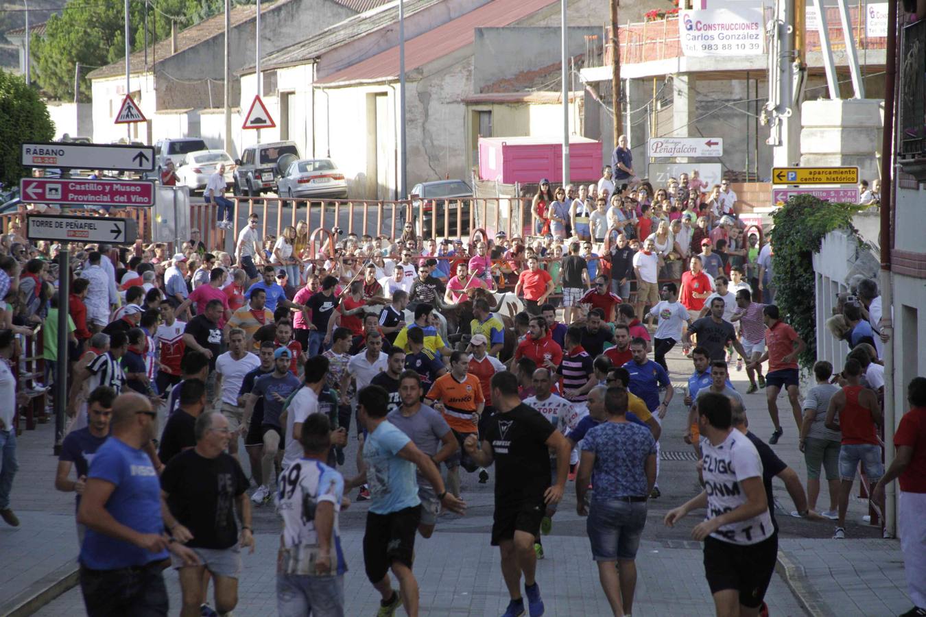 Encierro y posterior capea de las fiestas de Peñafiel