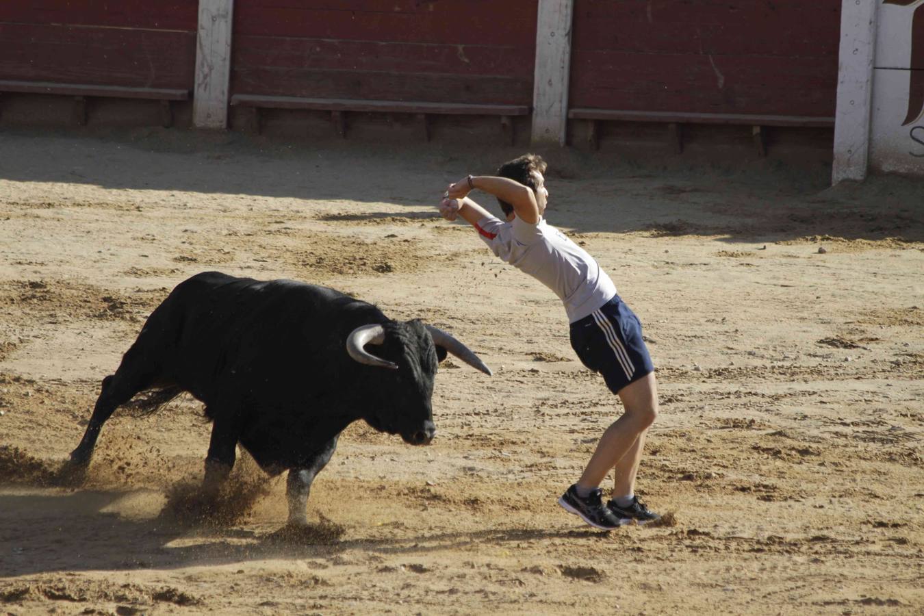 Encierro y posterior capea de las fiestas de Peñafiel