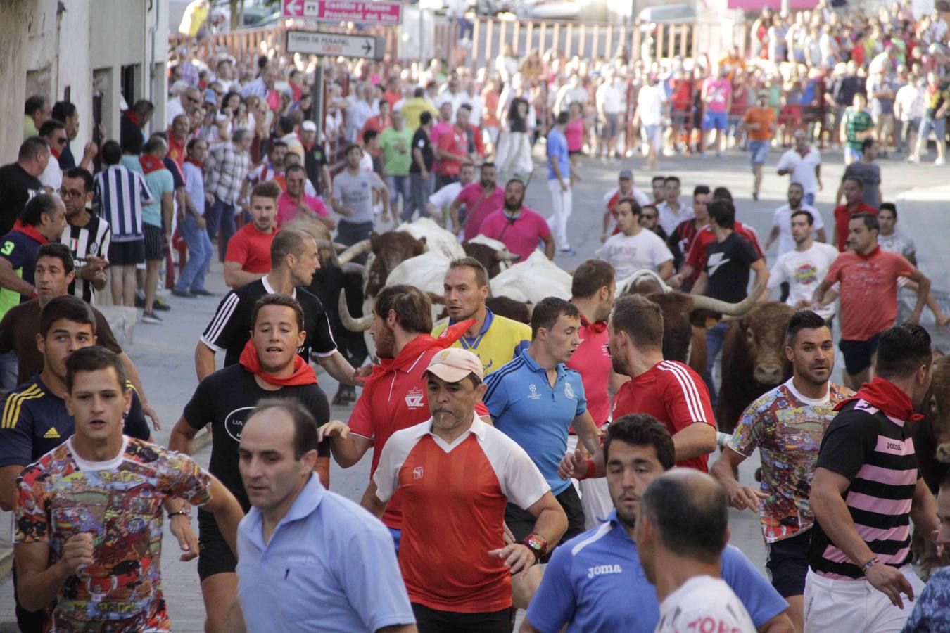 Encierro y posterior capea de las fiestas de Peñafiel