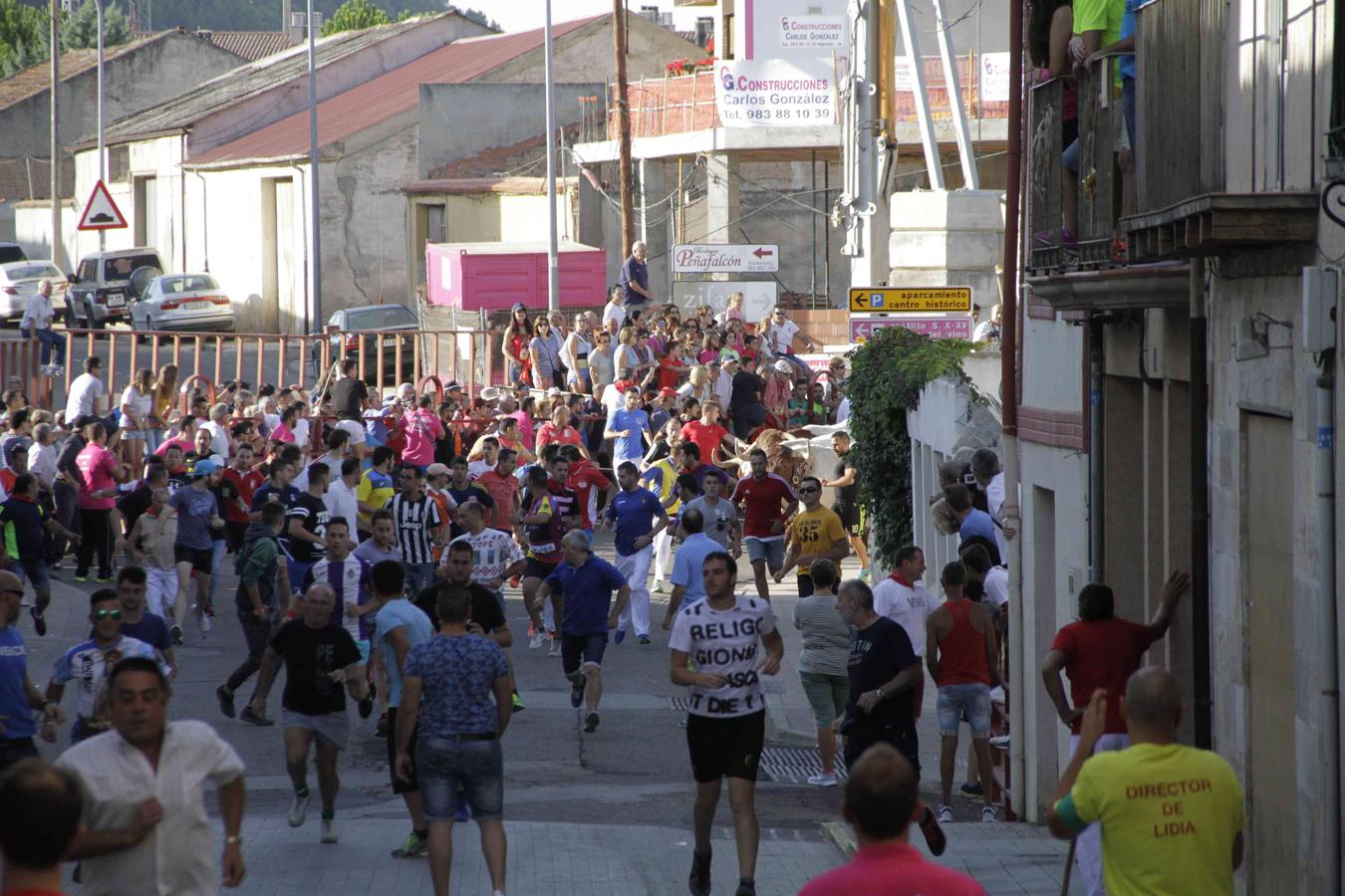 Encierro y posterior capea de las fiestas de Peñafiel