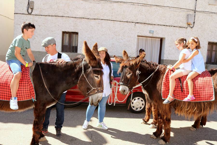 Mercado de Artesanía en Cevico Navero