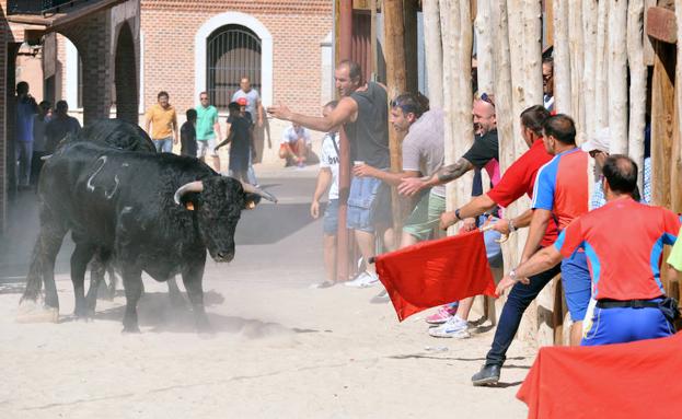 Embestido por un toro en Serrada