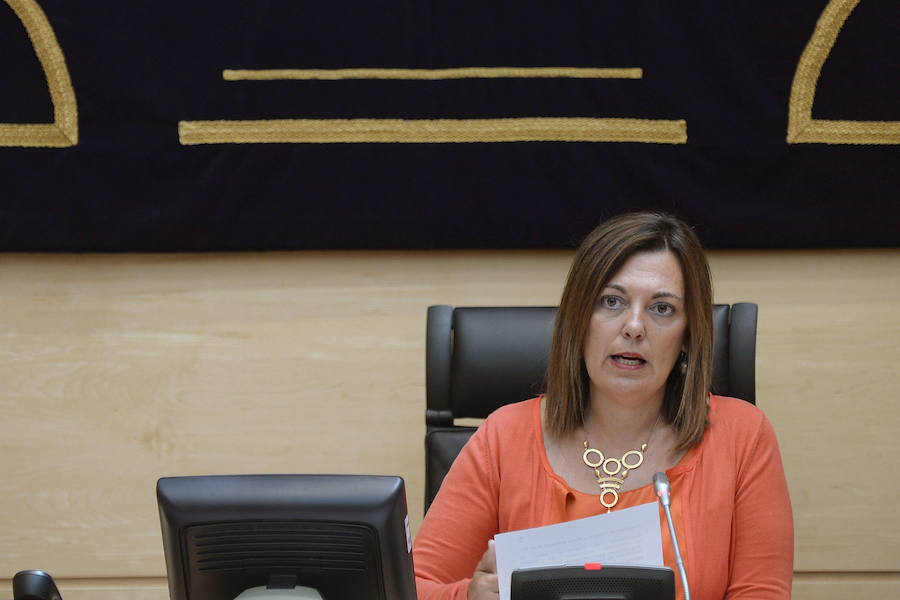 La portavoz de la Junta de Castilla y León, Milagros Marcos, ha anunciado que se procederá a esclarecer la muerte de la menor de Valladolid.