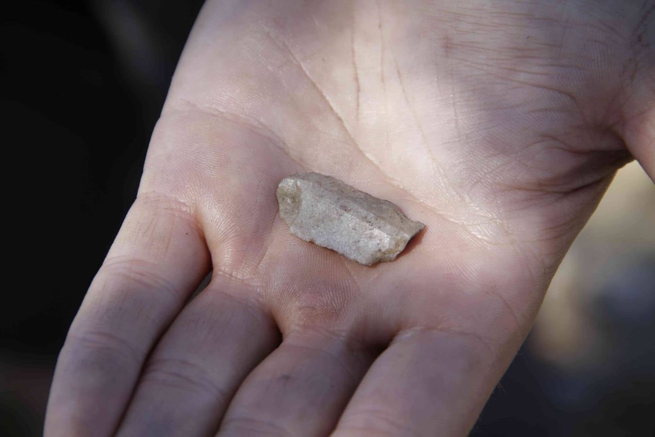 Arqueólogos de la Universidad de Burgos hallan el asentamiento fortificado de la Edad del Cobre