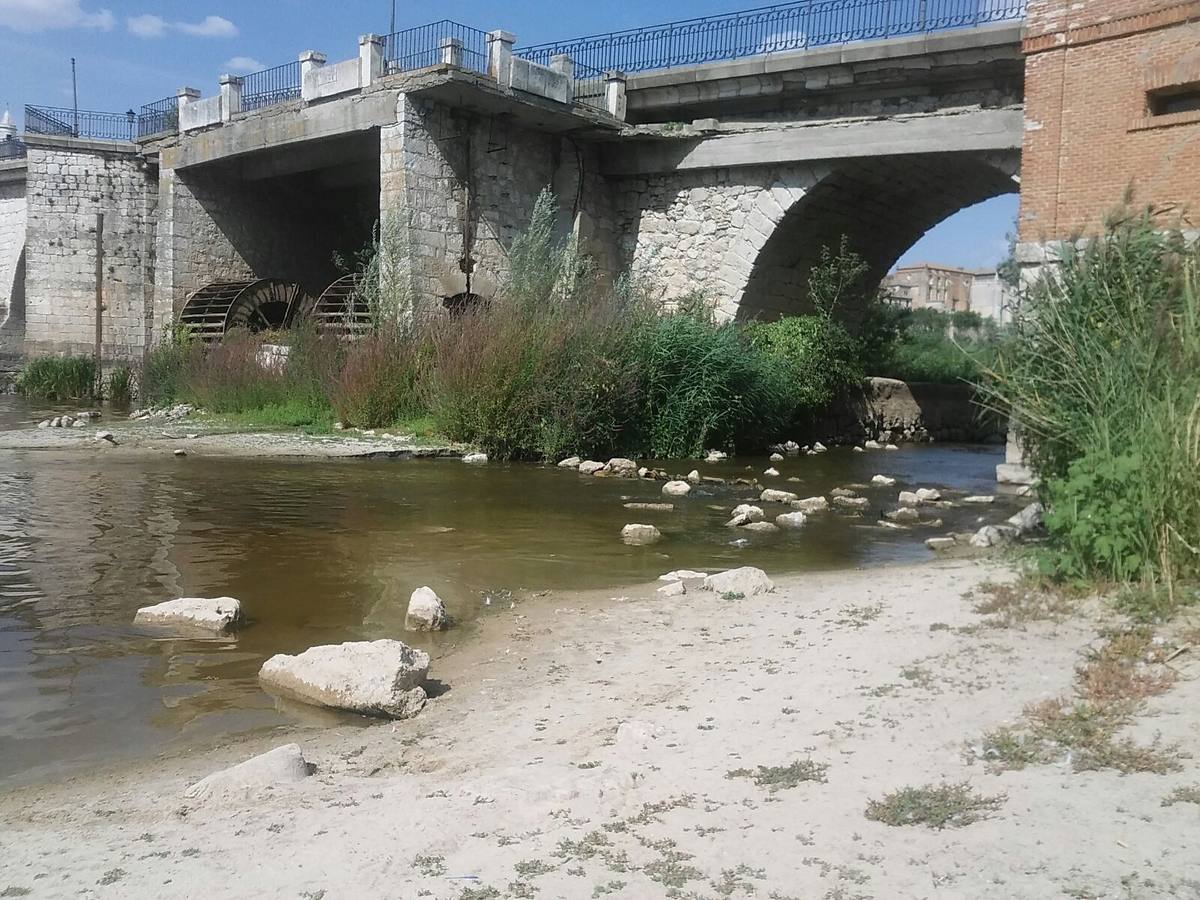 Tordesillas (Valladolid).