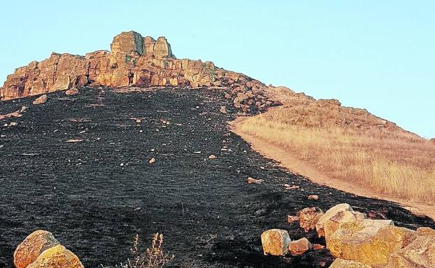 Zona incendiada en Arapiles una vez extinguido. 