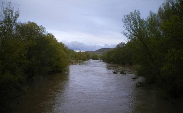 Río Pisuerga, a su paso por Reinoso de Cerrato. 
