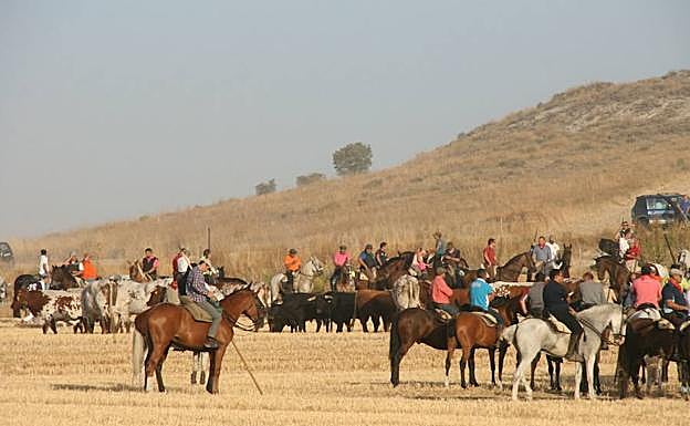 Numerosos caballistas rodean a los toros en el descansadero durante el encierro. 