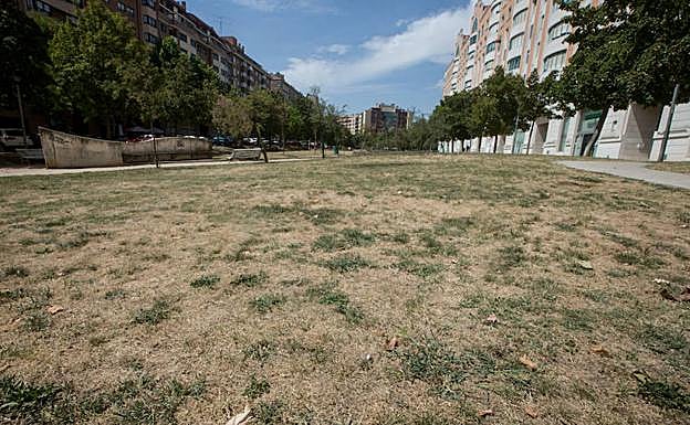 Superficie de césped, ya seco, en la parte alta del Parque del Reloj, en el barrio de Parquesol. 