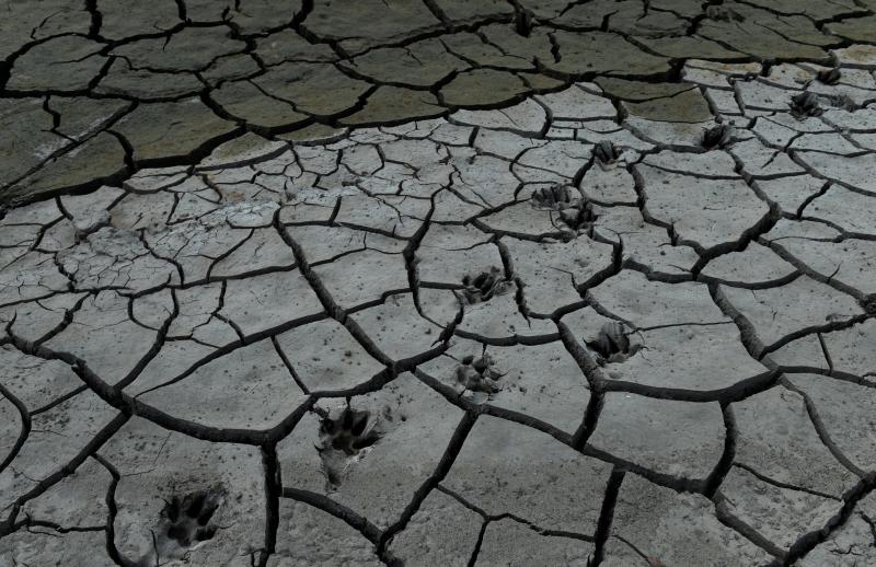 La sequía en Barrios de Luna, León